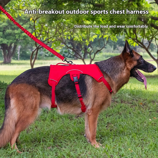 KFX-1919677 Explosion-Proof Pet Vest for Large Dogs - Nylon, Available in Various Colors