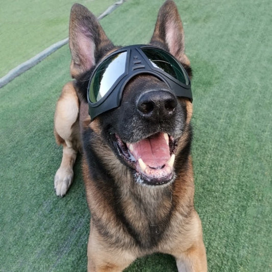 KFX-2061245 Comfortable Waterproof Pet Goggles for Large Dogs – Soft Frame Dog Sunglasses for Eye Protection
