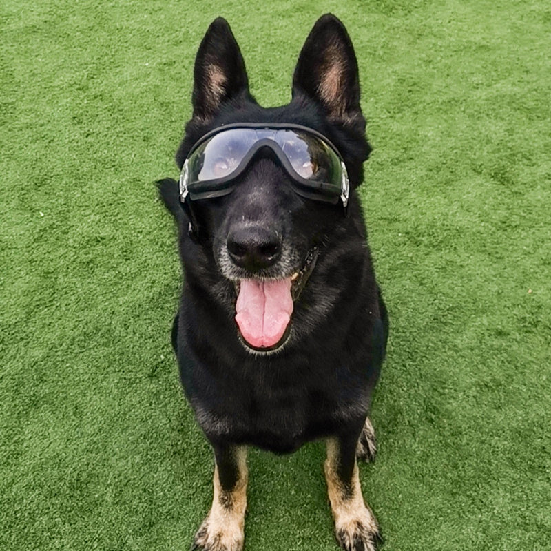 KFX-2094013 Large Dog Sunglasses - UV Protection, Waterproof, and Eye Safety with Adjustable Nylon Strap