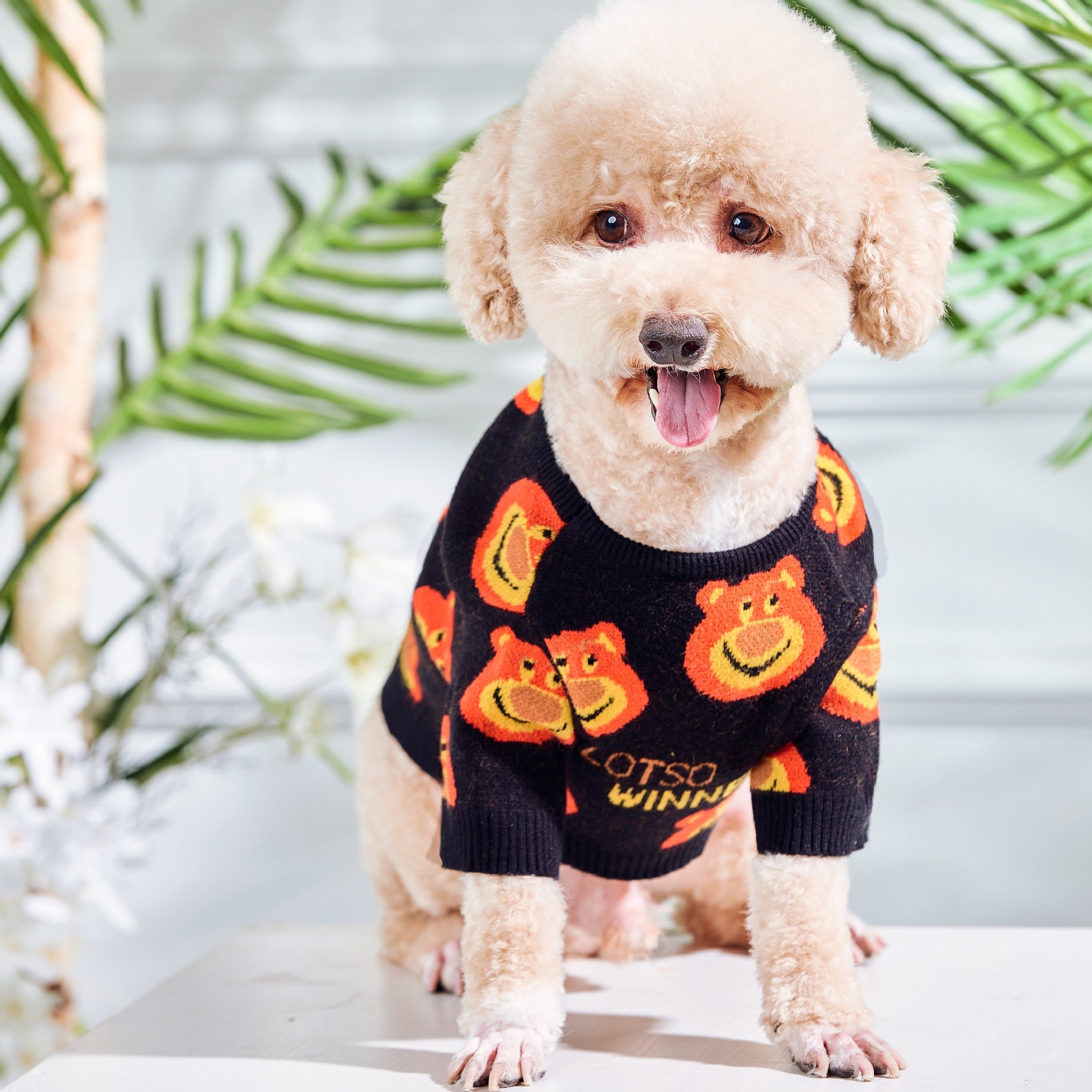 KFX-2171453 Warm and Cozy Black Plush Cat Sweater for Modern Style