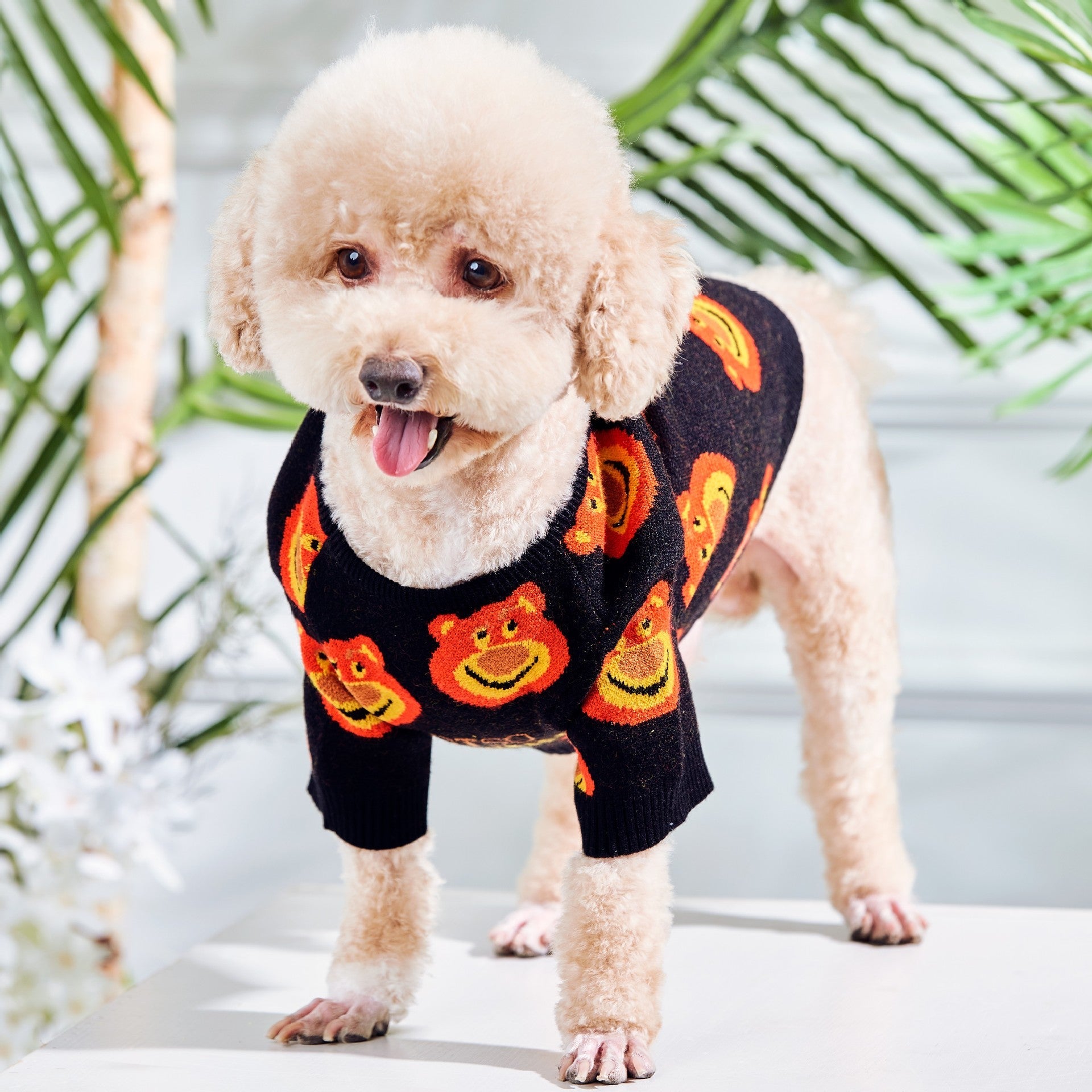 KFX-2171453 Warm and Cozy Black Plush Cat Sweater for Modern Style