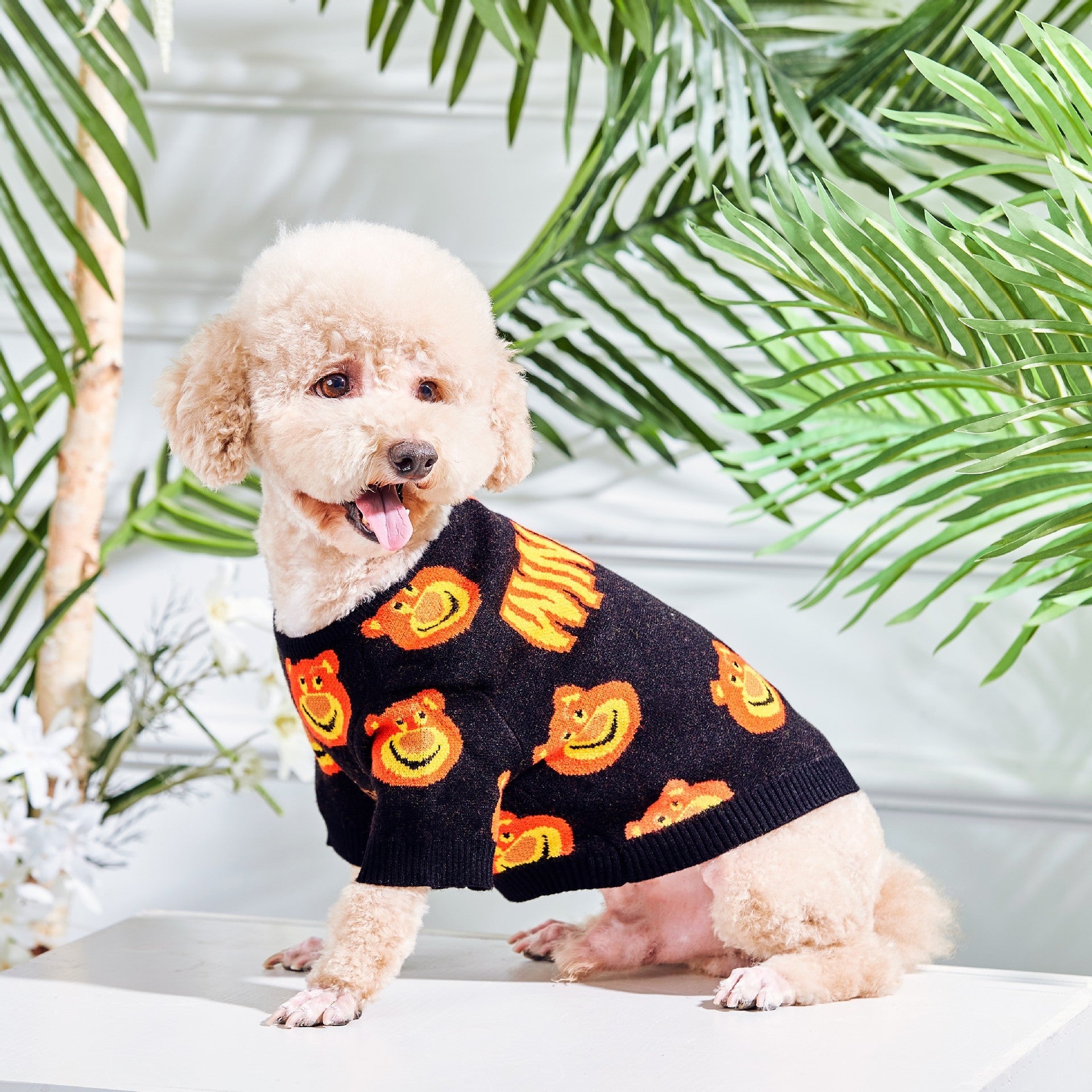 KFX-2171453 Warm and Cozy Black Plush Cat Sweater for Modern Style