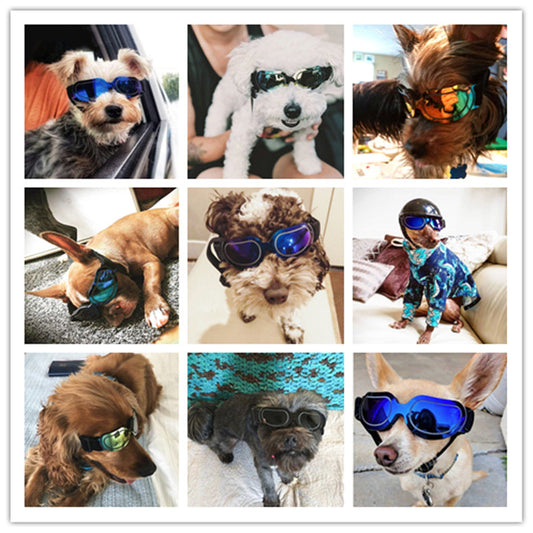 KFX-2192317 Colorful Dog and Cat Sunglasses with UV Protection – Stylish and Durable Pet Eye Wear