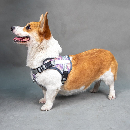 KFX-2265277 Colorful Reflective Pet Harness with Neck Protection and Anti-Strangulation Features