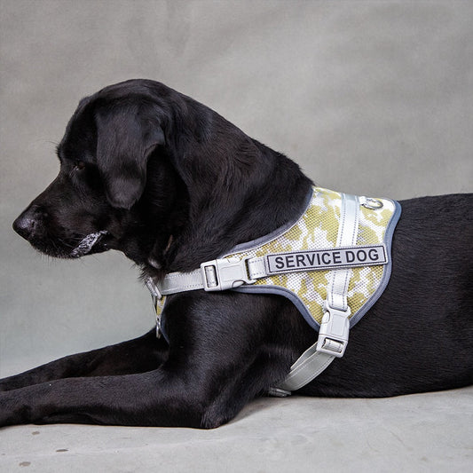 KFX-2265277 Colorful Reflective Pet Harness with Neck Protection and Anti-Strangulation Features