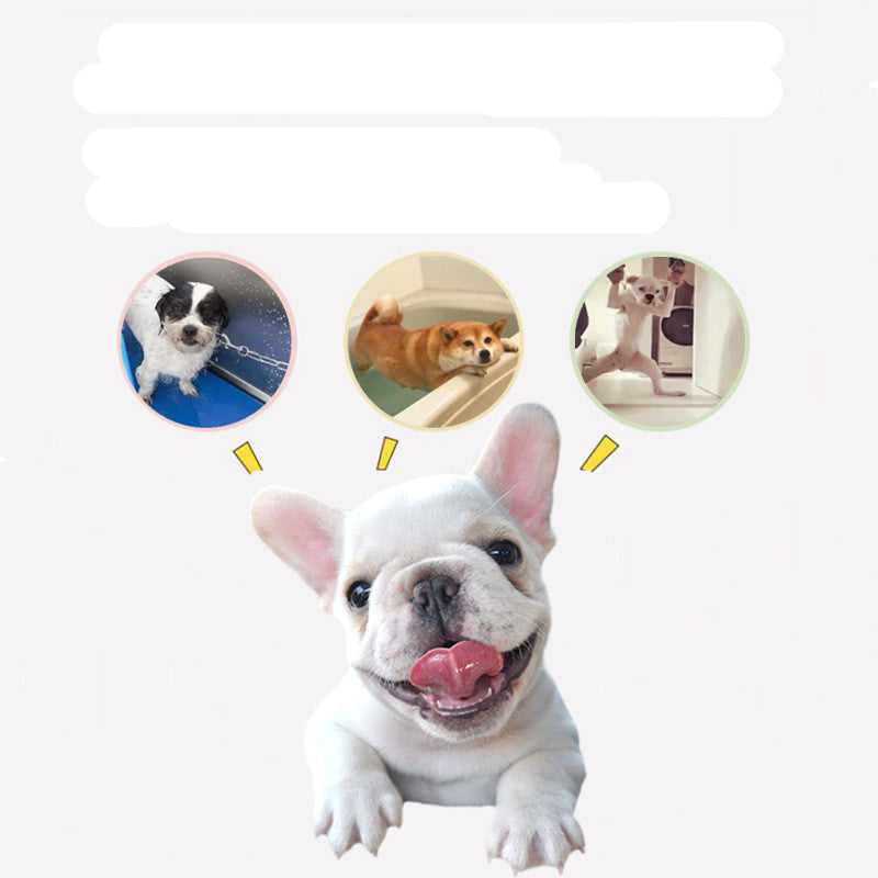 KFX-2273597 Silicone Suction Cup Pet Bathing Bowl for Dogs - Paw Pad Distractor