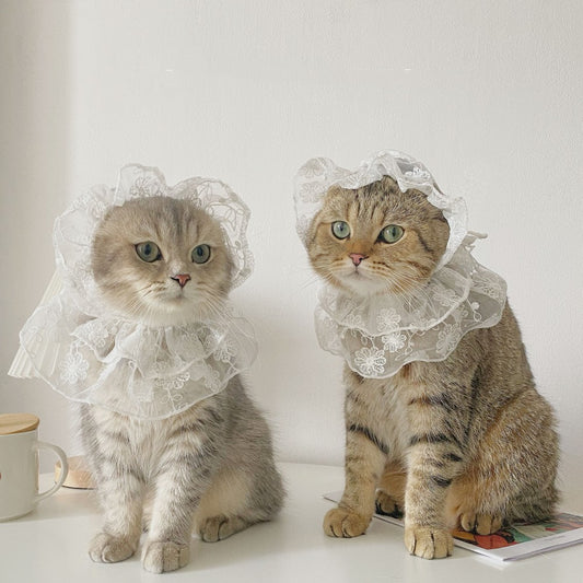 KFX-2611517 Lace Scarf for Small and Medium Dogs - Stylish Water-Soluble Fabric Accessory