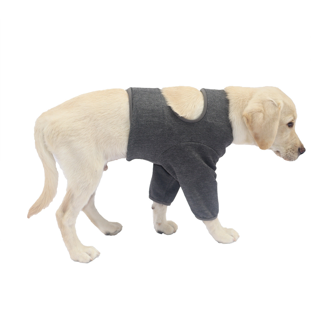 KFX-2806205 Dog Front Leg Protective Gear - Double Layer Polyester Cover in Black, Dark Gray, and Light Gray, Various Sizes Available