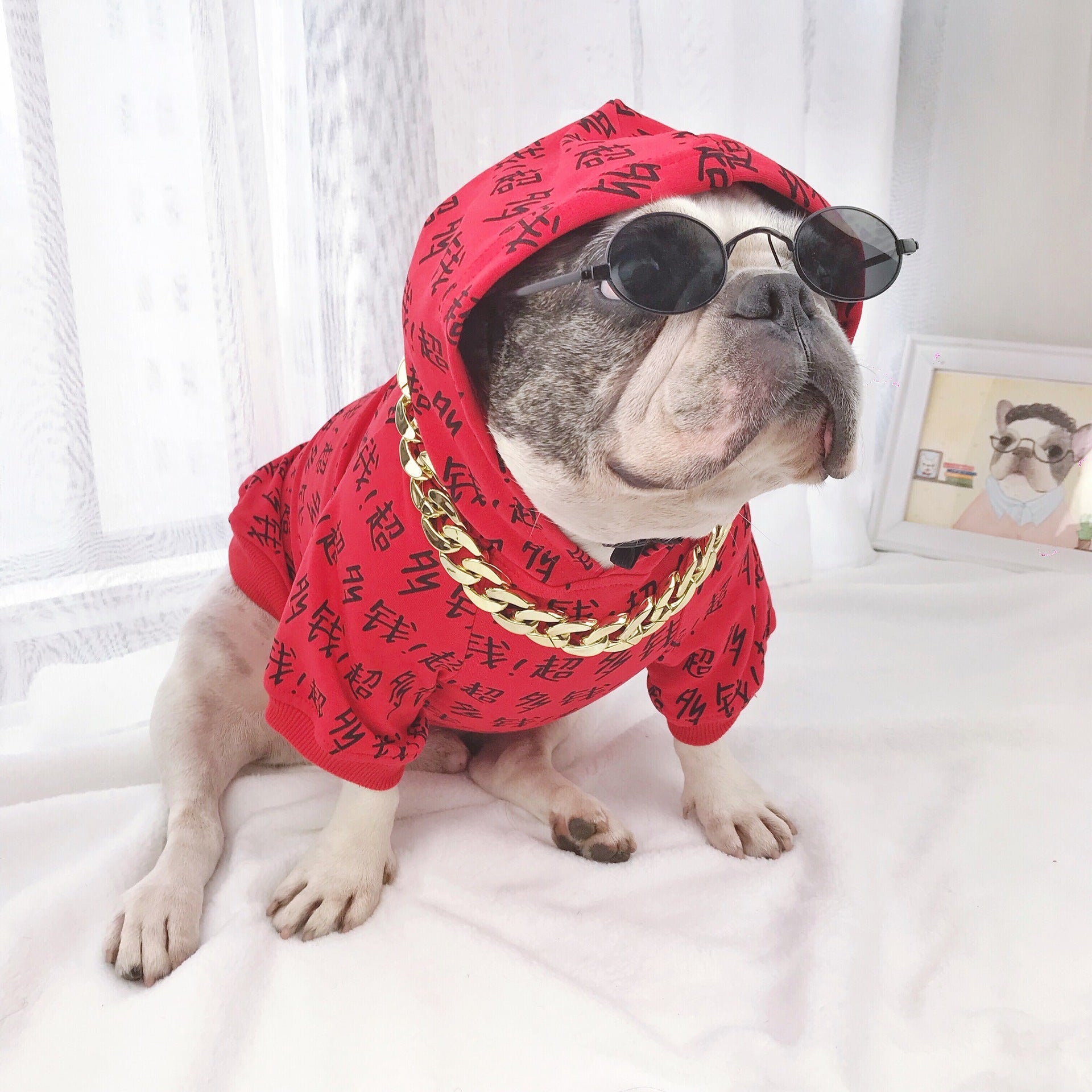 KFX-2847677 Casual Toy Glasses for Medium and Large Dogs - Various Colors Available