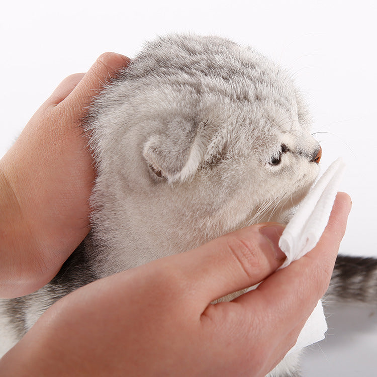 KFX-2851645 Pet Ear Cleaning Wipes for Dogs and Cats - Tear Stain Remover, Thickened Pearl Spunlace Cloth, 24 Bags/Carton