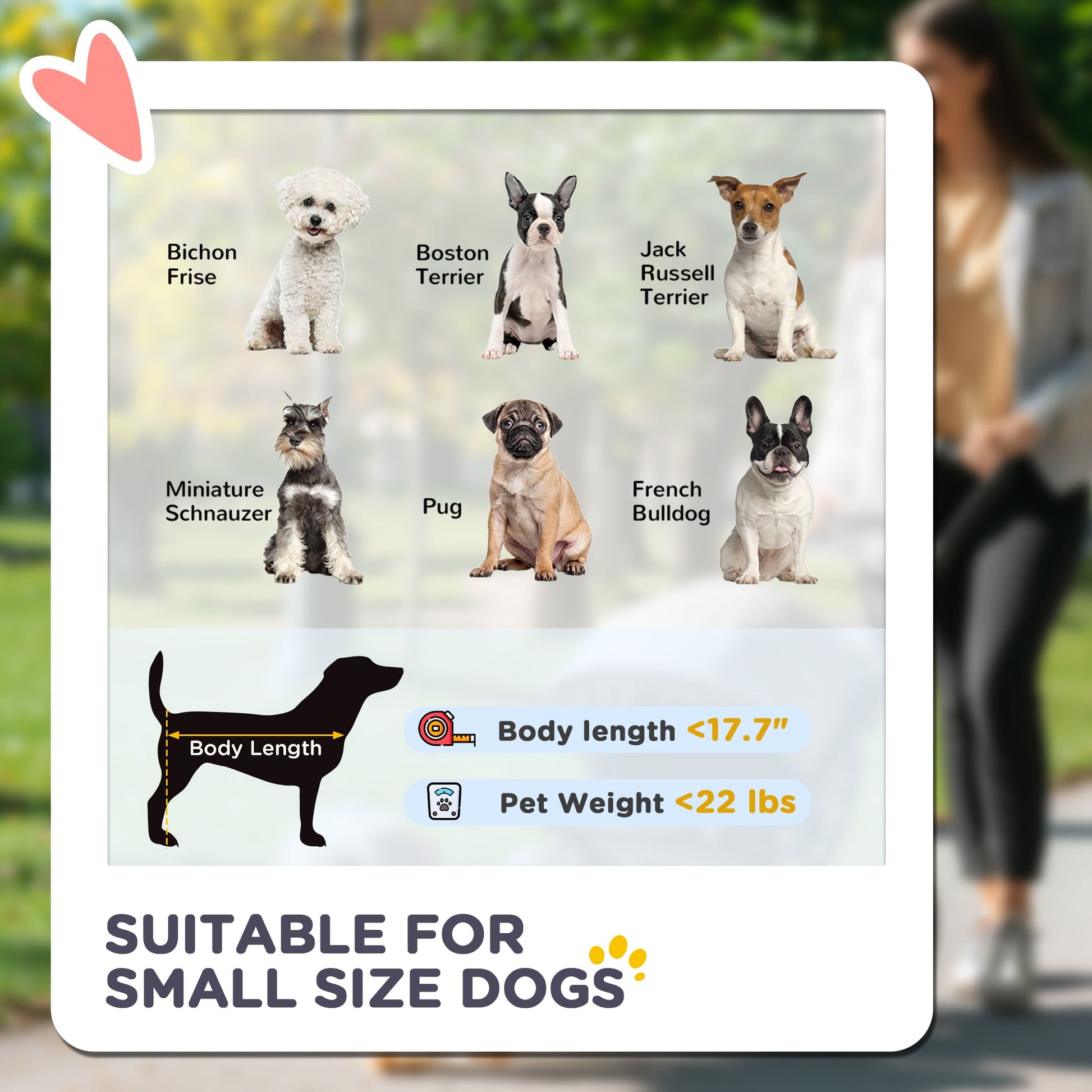 KFX-3068733 Lightweight 3-in-1 Pet Stroller for Small Dogs, Detachable Cabin, Easy-Fold Design, Gray