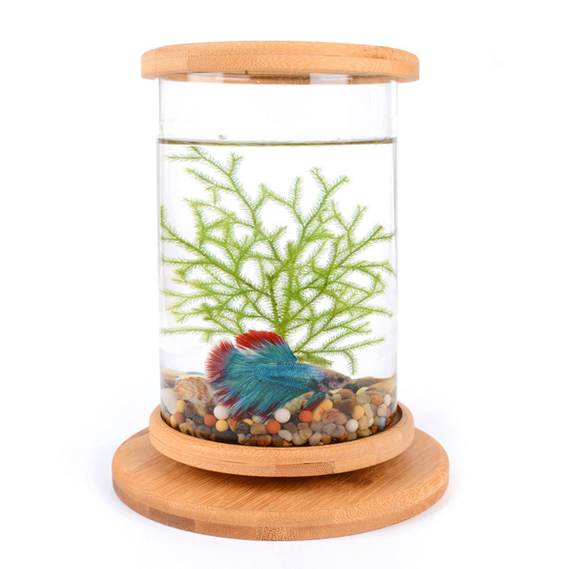 KFX-3150013 Mini Glass Aquarium with Bamboo Base for Small Office Decoration