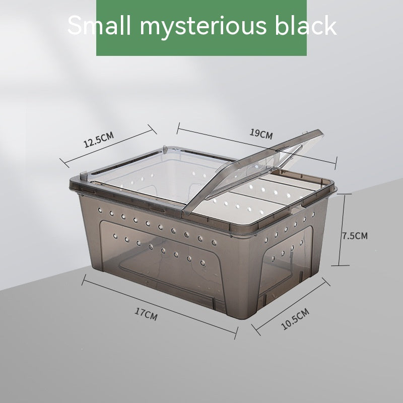 KFX-3182781 Transparent Silkworm Feeding Jar for Box Turtles – Available in Small, Medium, Large Sizes