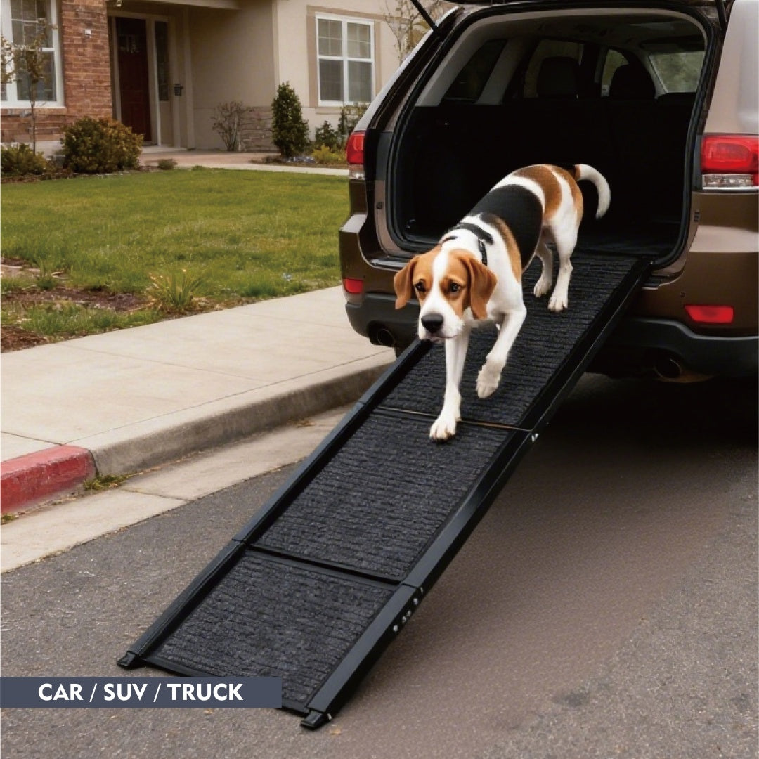 KFX-3695549 Large Folding Dog Ramp for Cars and SUVs, Non-Slip Surface, Up to 250lbs, Portable Pet Steps for Medium & Large Dogs