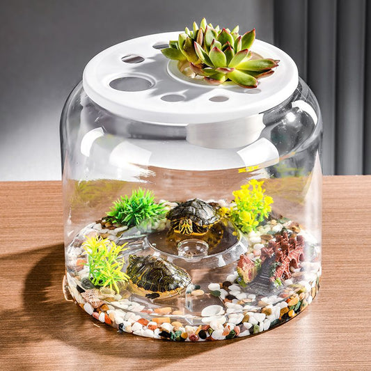 KFX-3772605 Large Transparent Eco-Friendly Plastic Turtle Tank with Lid Options