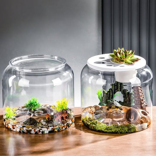 KFX-3772605 Large Transparent Eco-Friendly Plastic Turtle Tank with Lid Options