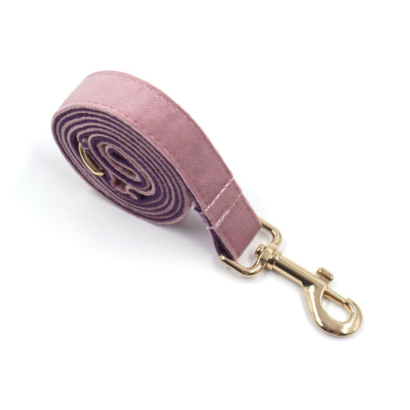 KFX-3898429 Creamy Coffee Velvet Dog Collar and Leash Set in Pink and Purple with Gold Buckle