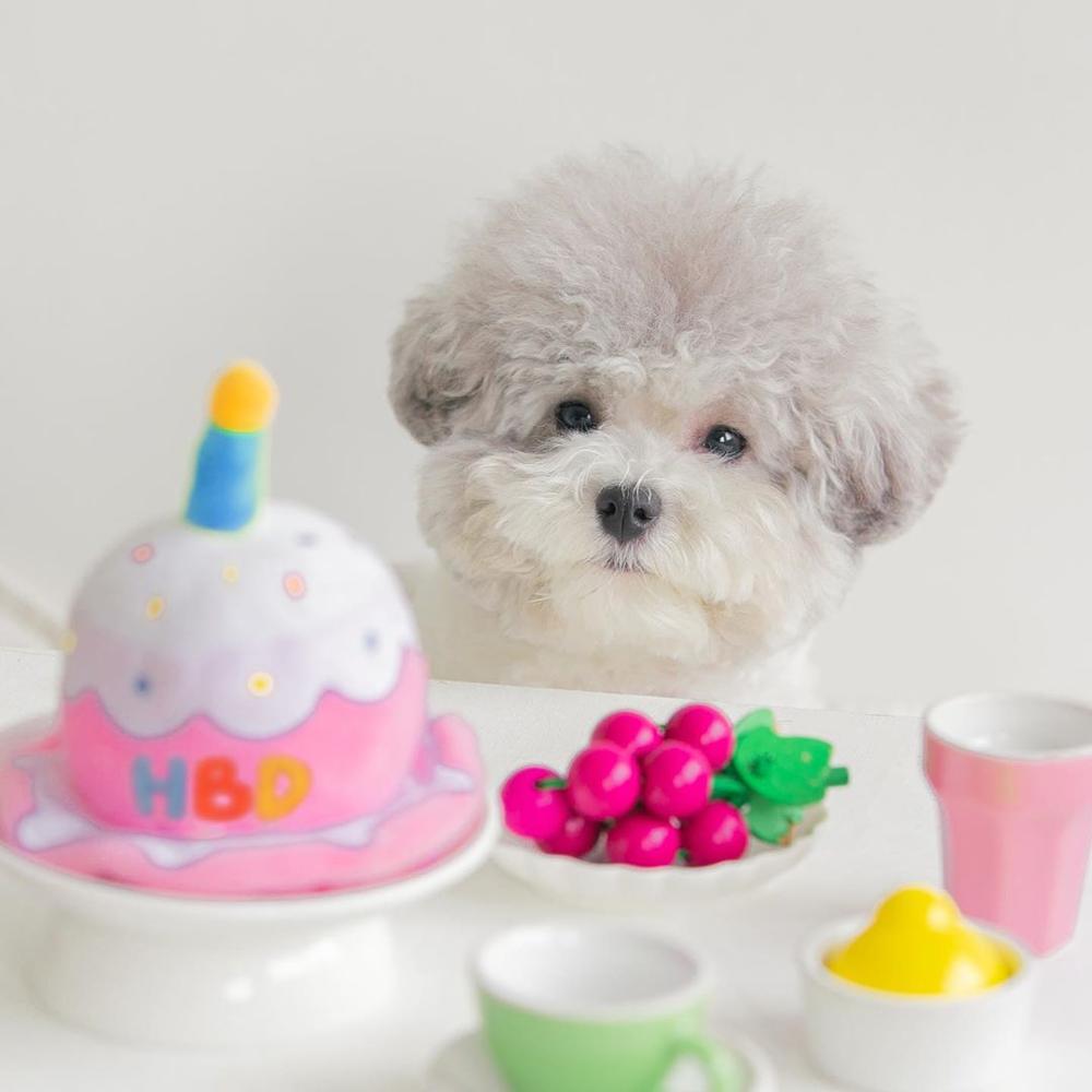 KFX-4020541 Adorable Plush Cake Birthday Hat for Dogs and Cats - Pink White, 11x12cm