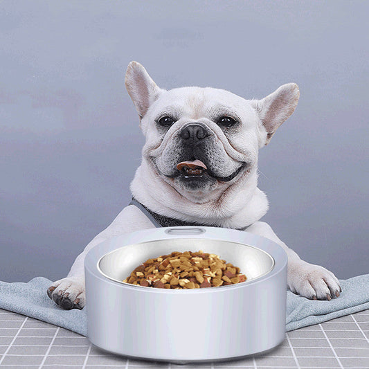 KFX-4041405 Large Capacity Detachable Stainless Steel Dog Food Bowl with Weighing Function