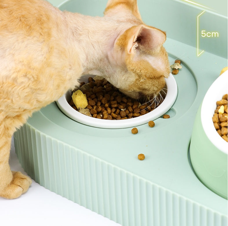 KFX-4074173 Ceramic Cat Food Bowl for Cervical Spine Protection, Available in Various Sizes and Colors
