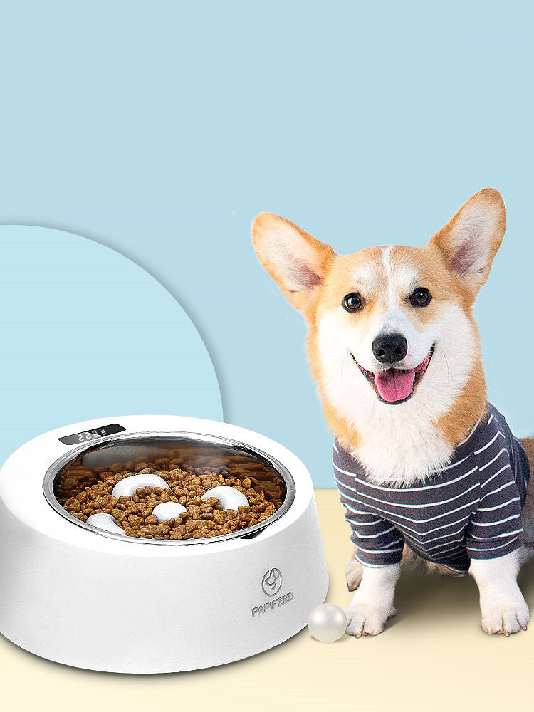 KFX-4106941 Stainless Steel Anti-Tipping Bowl for Weighing Pets – 500g Capacity