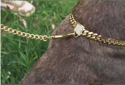 KFX-4108733 Gold Titanium Steel Dog Collar with Encryption Chain Buckle - Multiple Sizes Available