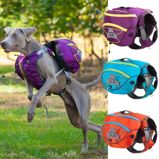 KFX-4349885 Pet Self Backpack for Medium and Large Dogs - Water-Repellent Fabric with Detachable Chest Harness in Purple, Orange, Blue