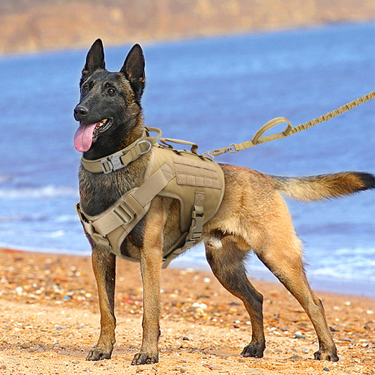 KFX-4422717 Tactics K9 Nylon Chest Harness Vest for Dogs - Wolf Brown & Night Black, Adjustable Sizes S, M, L