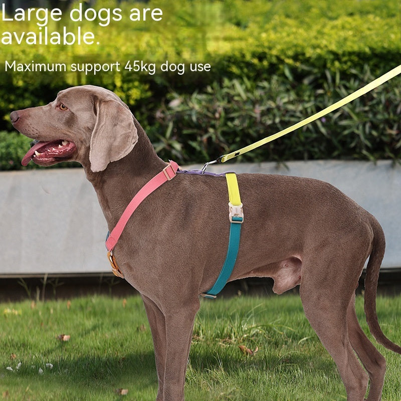KFX-4488253 H-Shaped Six-Color PET Chest and Back Strap for Dogs