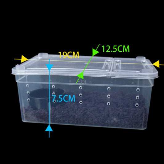 KFX-4493501 Transparent Plastic Reptile Feeding Box for Transporting and Raising Amphibians