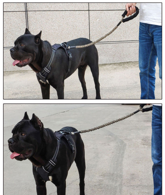 KFX-4684861 Elastic Traction Rope for Medium and Large Dogs - High Elasticity and Explosion-Proof Design