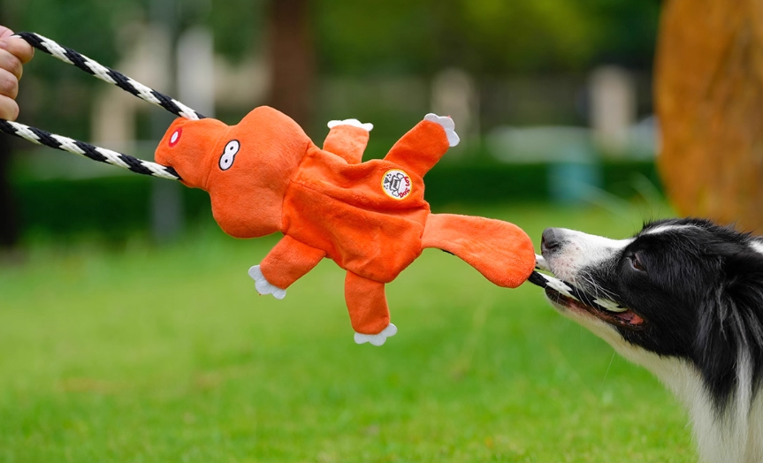 KFX-4749245 Medium to Large Dog Cotton String Molar Chew Toys - 22.5x8cm, Set of 2