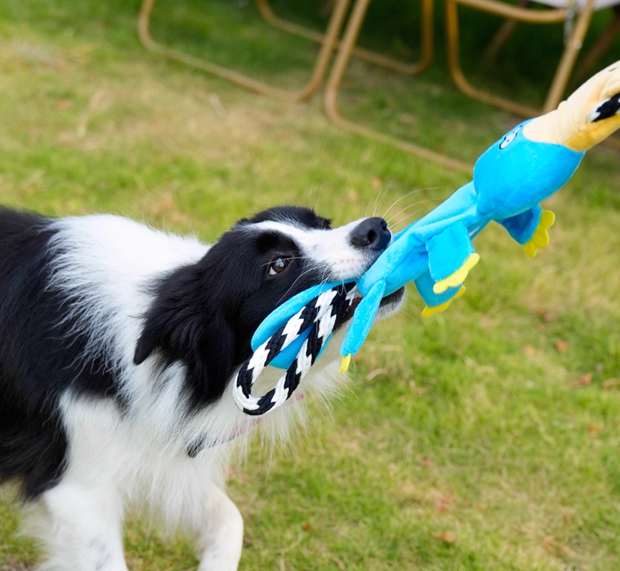 KFX-4749245 Medium to Large Dog Cotton String Molar Chew Toys - 22.5x8cm, Set of 2