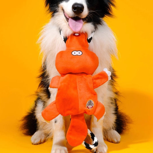 KFX-4749245 Medium to Large Dog Cotton String Molar Chew Toys - 22.5x8cm, Set of 2