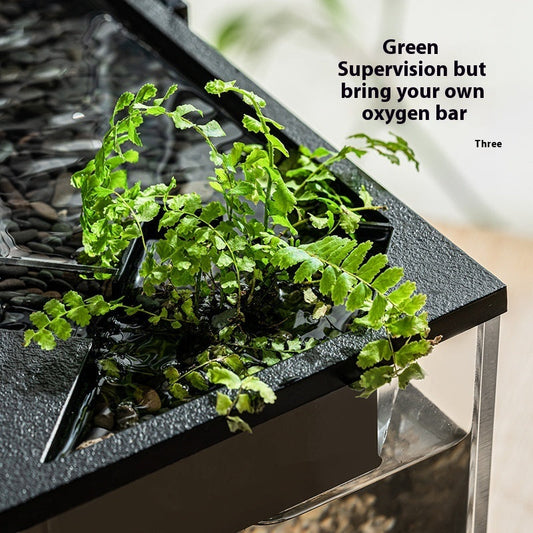 KFX-4952253 Integrated Lazy Aquarium with Acrylic Filter, Water Pump, Lamp, Heating Mat, and External Light