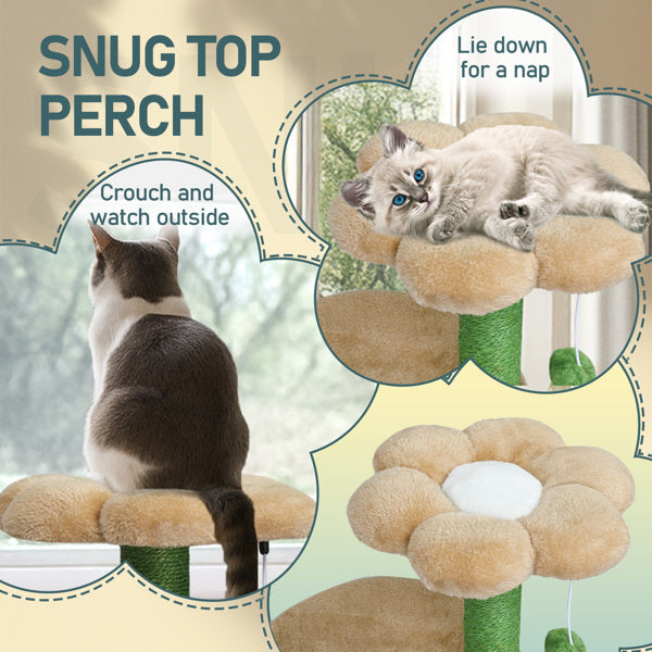 KFX-5012029 Multi-Level Cat Tree with Cozy Condo, Curved Perch, and Plush Top Bed – Ideal for Kittens and Small Cats, Beige & Green