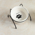 KFX-5024445 Elegant Double Glass Cat Bowl with Gold Stand for Cervical Spine Support