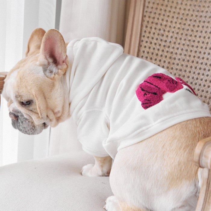 KFX-5085117 Parent-Child Winter Bear Sweater in Coral Fleece for Dogs