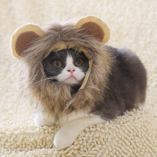 KFX-5368253 Cute Lion Headgear Cat Hat for Adorable Transformations - Non-Woven Material, Sizes S-38cm