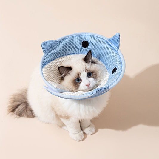 KFX-5596093 Soft Nonwoven Fabric Cat Recovery Collar - Shark Shape, Protective Adjustable Cone for Wound Healing and Comfort