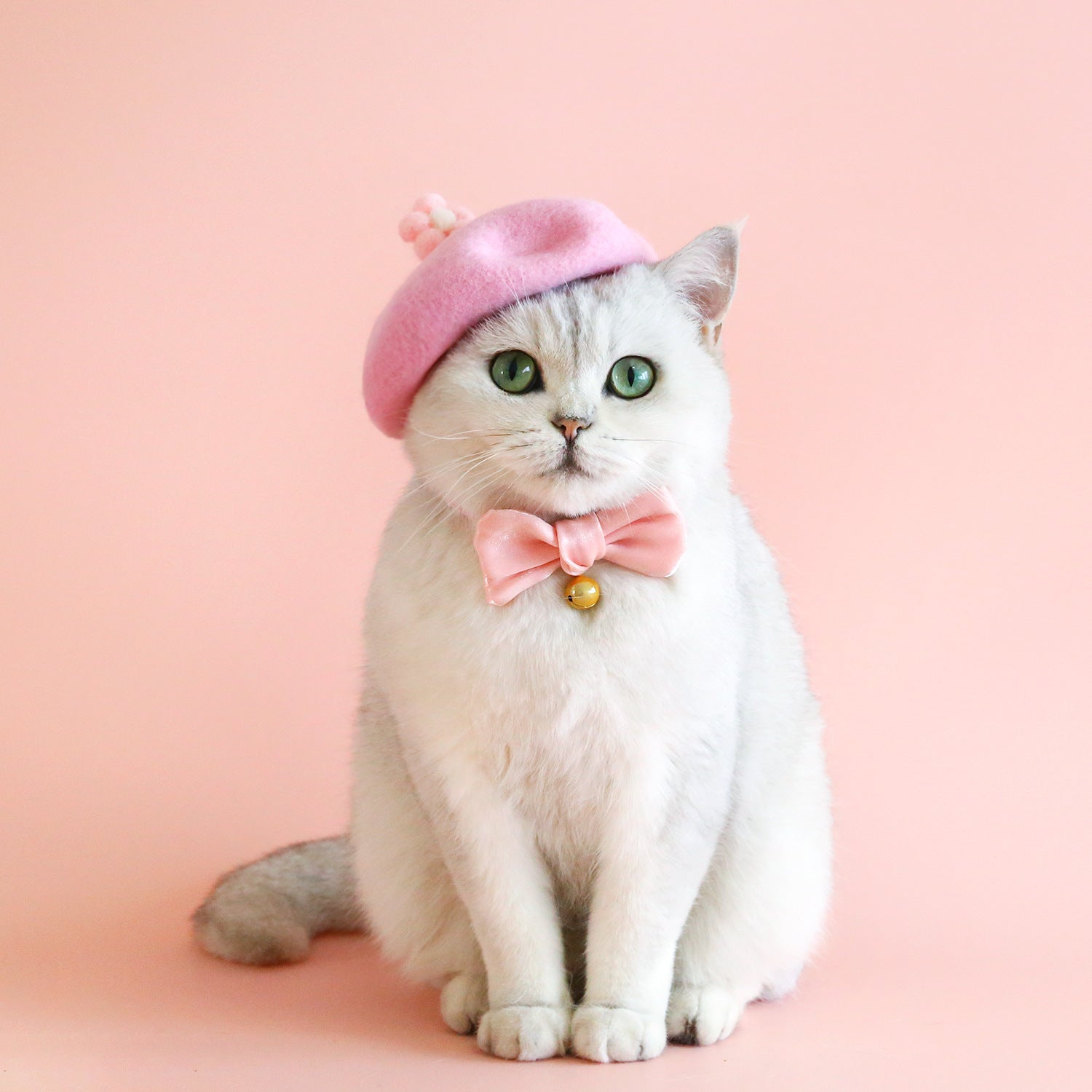 KFX-6121917 Princess Style Pet Wool Cartoon Hats for Winter - Multiple Colors Available