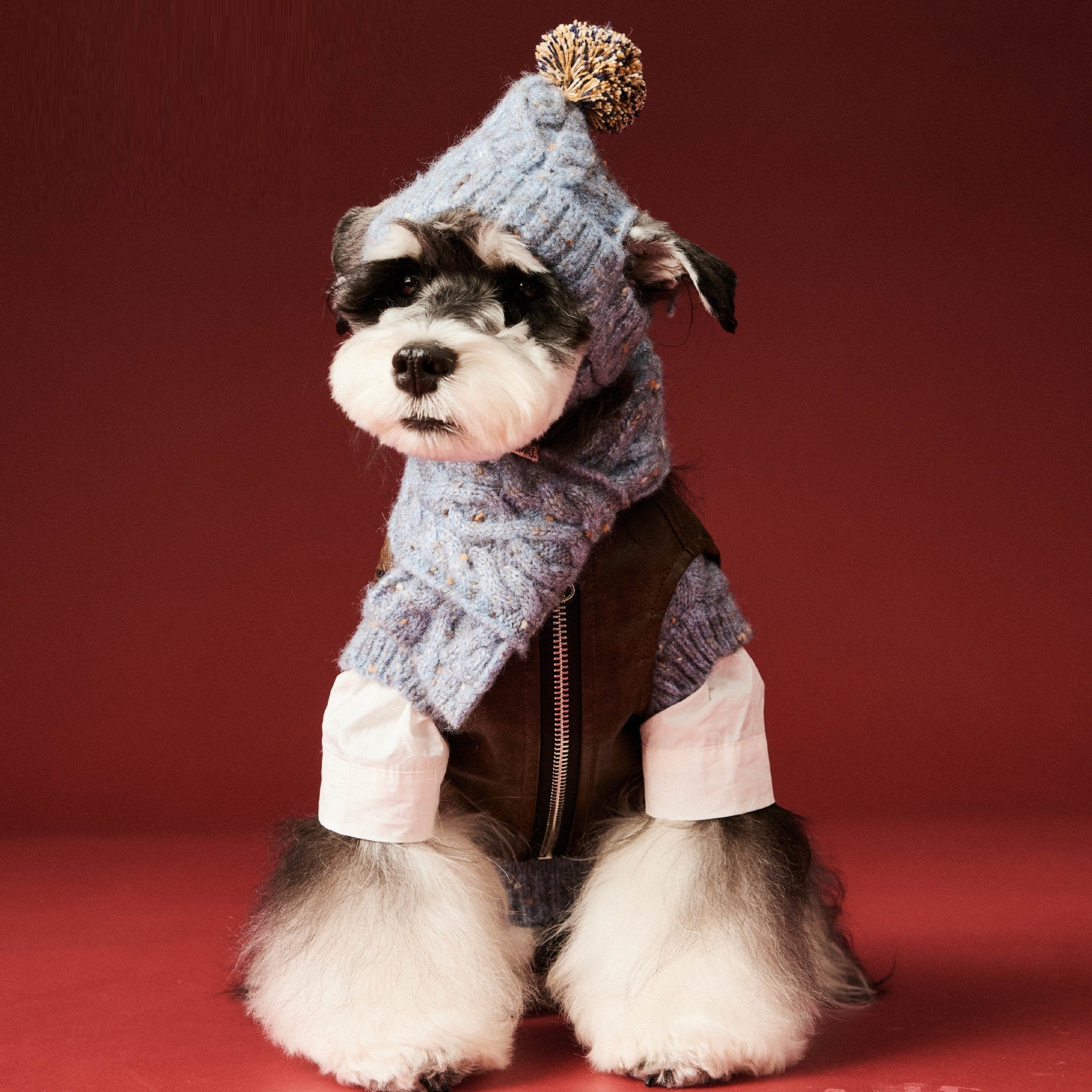 KFX-6122685 Wool Winter Hat and Scarf Set for Small to Medium Dogs