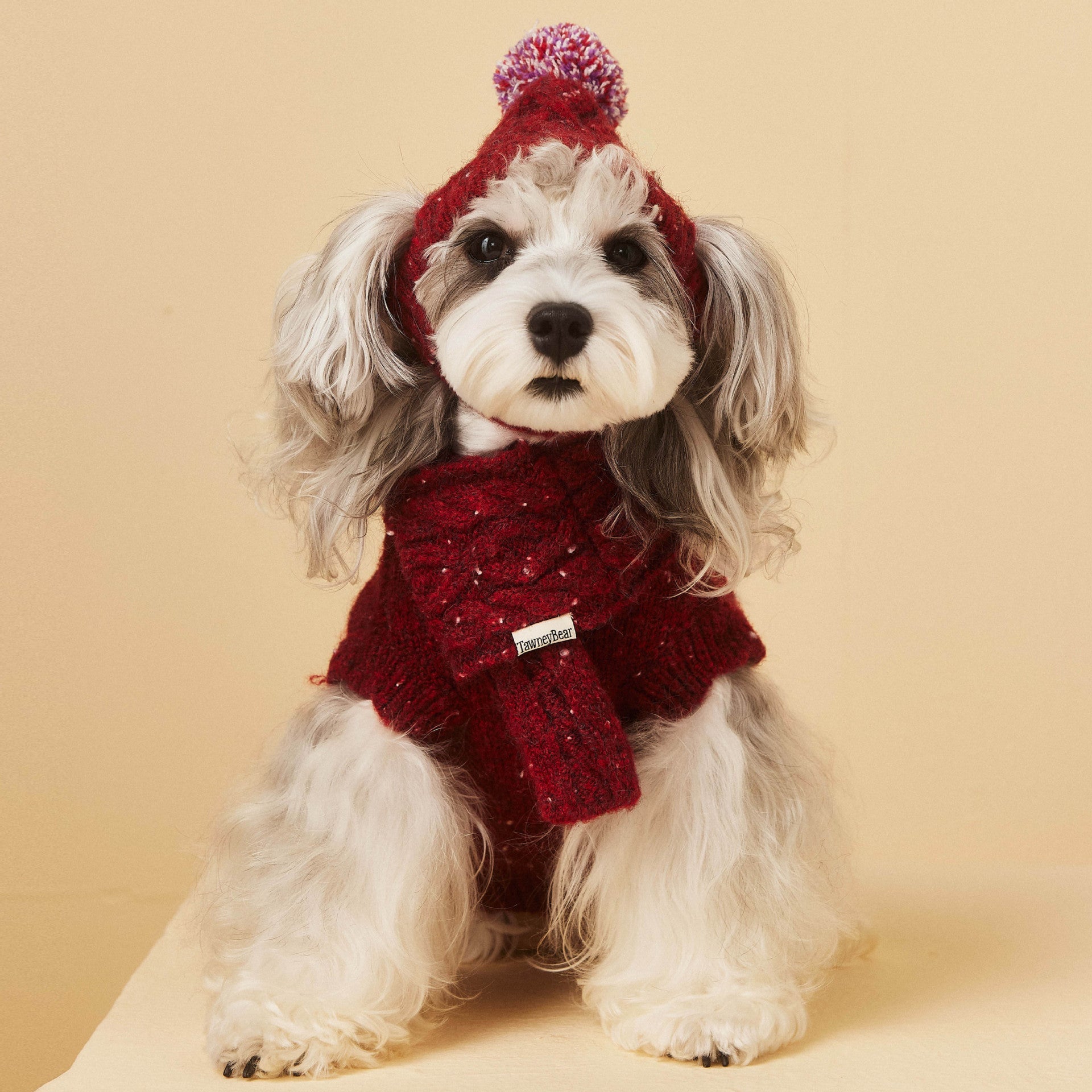 KFX-6122685 Wool Winter Hat and Scarf Set for Small to Medium Dogs