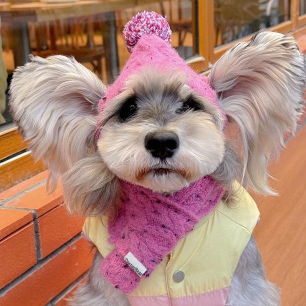 KFX-6122685 Wool Winter Hat and Scarf Set for Small to Medium Dogs