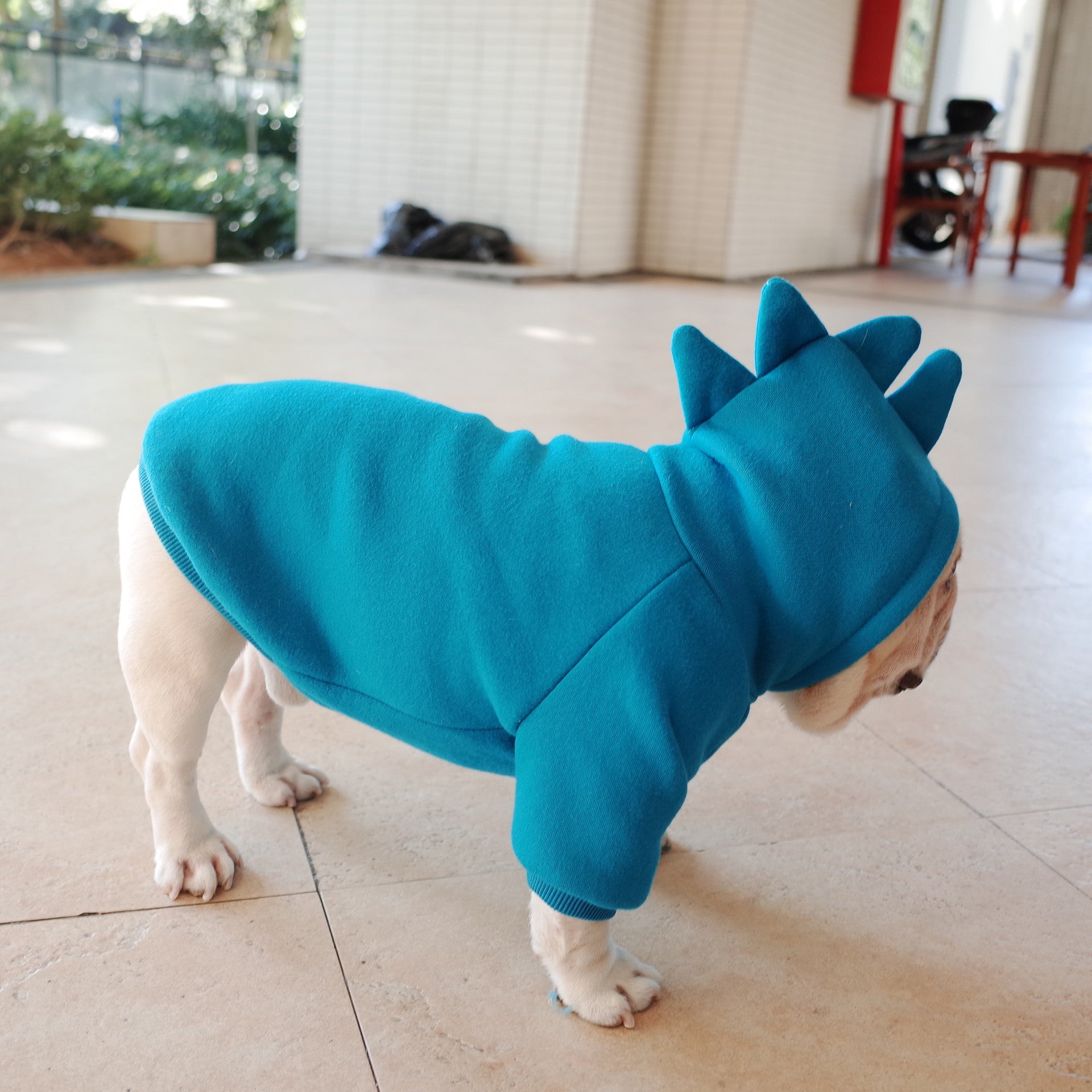KFX-6428605 Cozy Blue Fleece Pet Hoodie for Dogs in Sizes S to XL