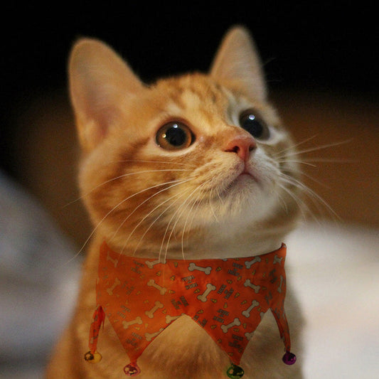 KFX-6435261 Adjustable Orange and Black Jewelry Accessories Dress for Dogs and Cats