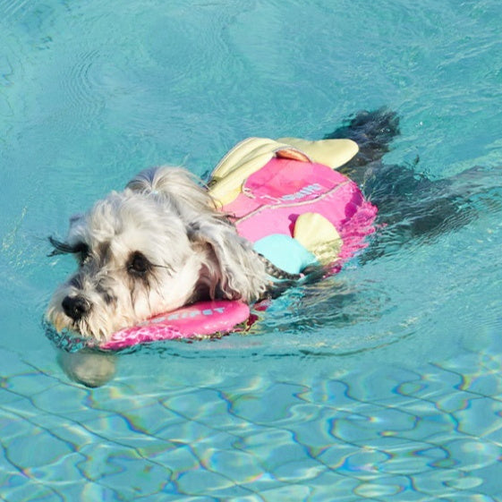 KFX-6607421 Dog Life Vest for Large Breeds - Pink, Available in Sizes S, M, L