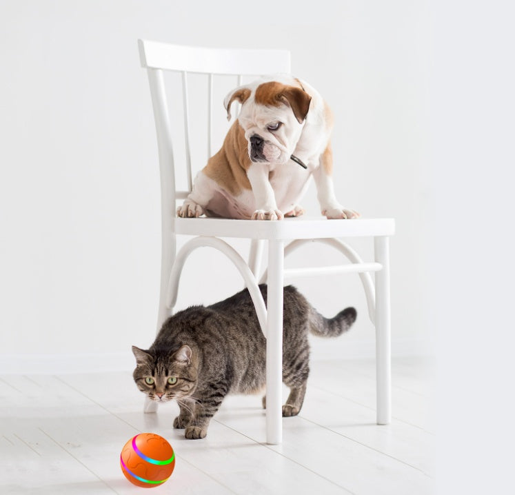 KFX-6699837 Intelligent Self-Rotating Cat Ball Toy with Remote Control and USB Charging