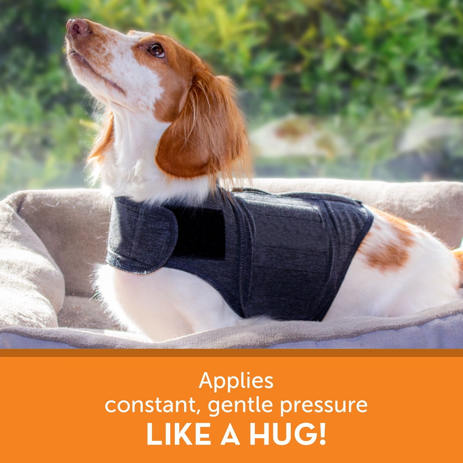 KFX-6712509 Warm British Style Dog Vest – Cozy Polyester Pet Clothing in Multiple Sizes