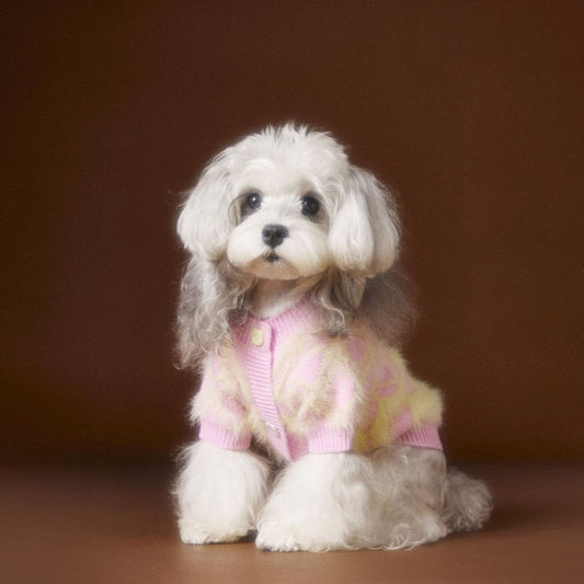 KFX-6869565 Schnauzer Teddy Bichon Casual Wool Cardigan Sweater for Pets